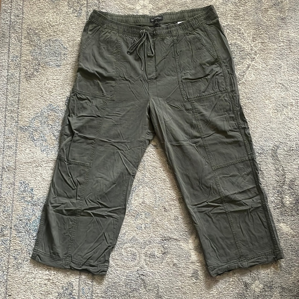 Banana Republic Crop Wide Leg Jogger Pants